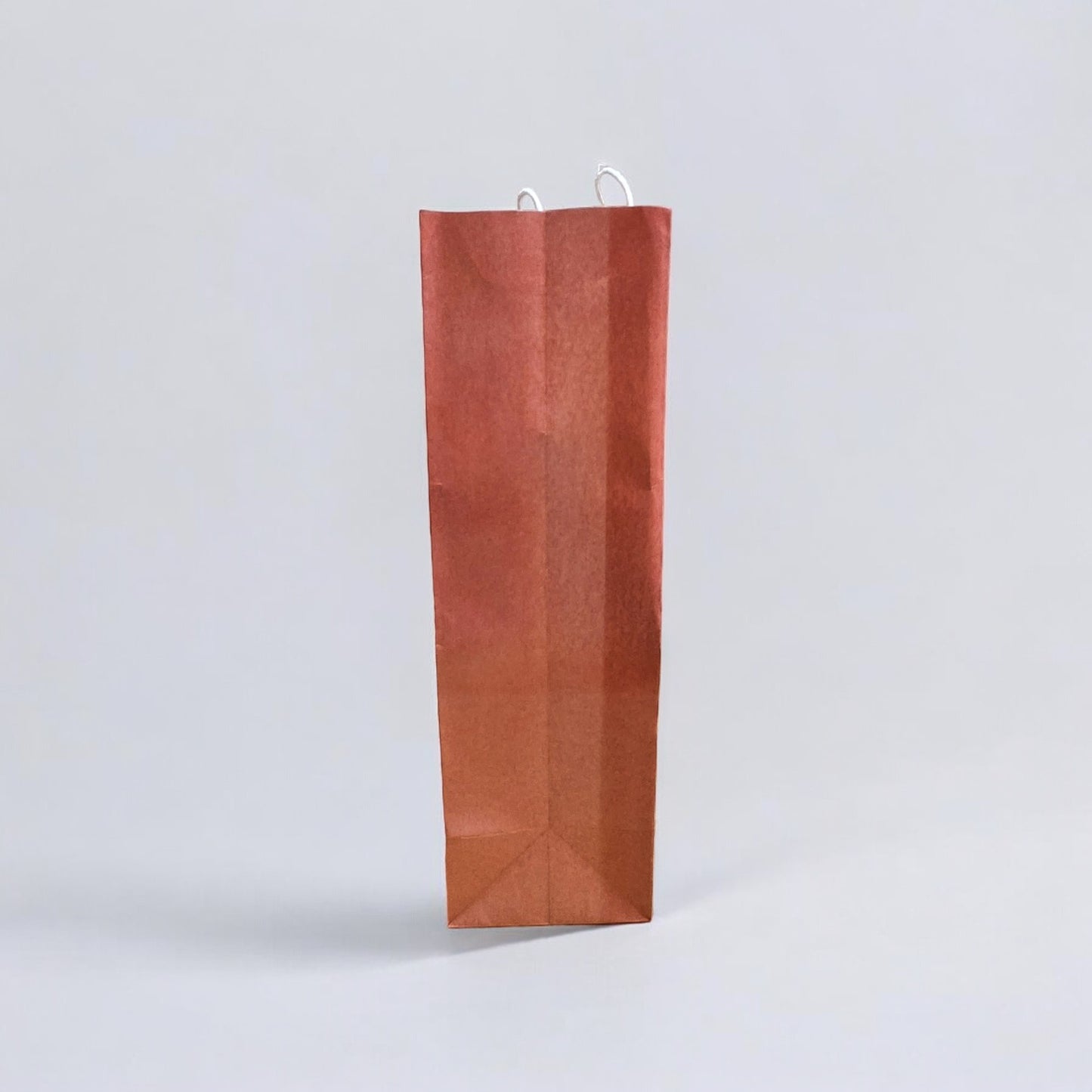 Paper Carry Bag (Designer Print)