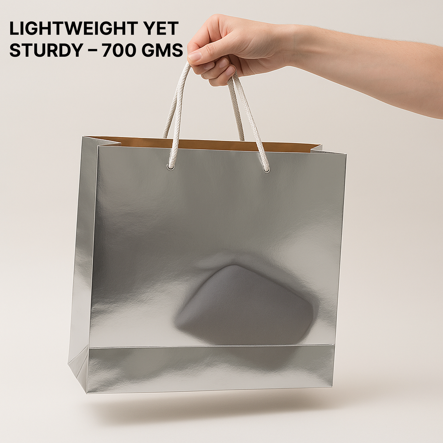 SIlver Paper Carry Bag 33cm x 26cm x 11.50cm