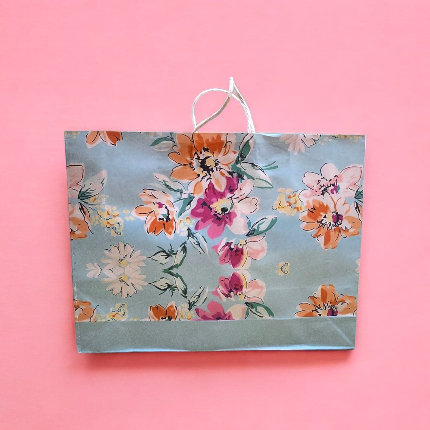 Paper Carry Bag (Designer Print)