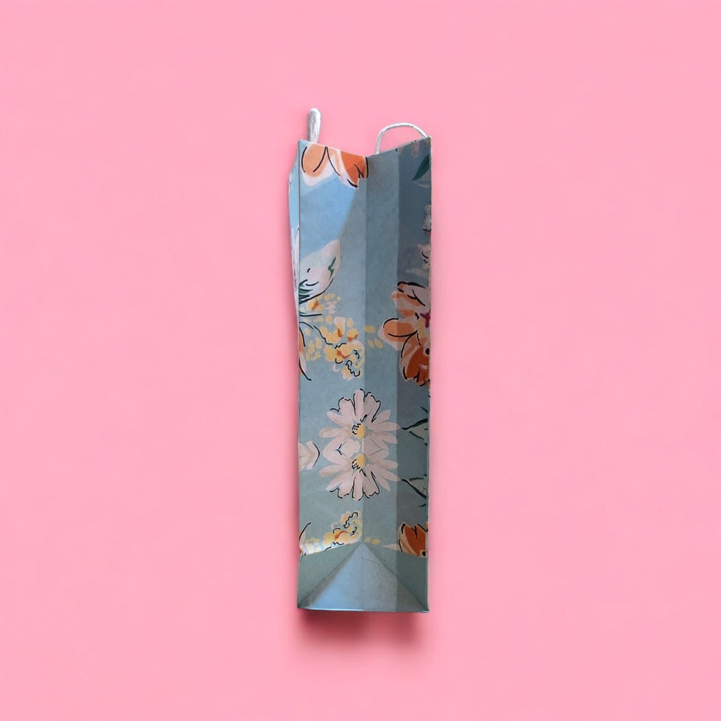 Paper Carry Bag (Designer Print)