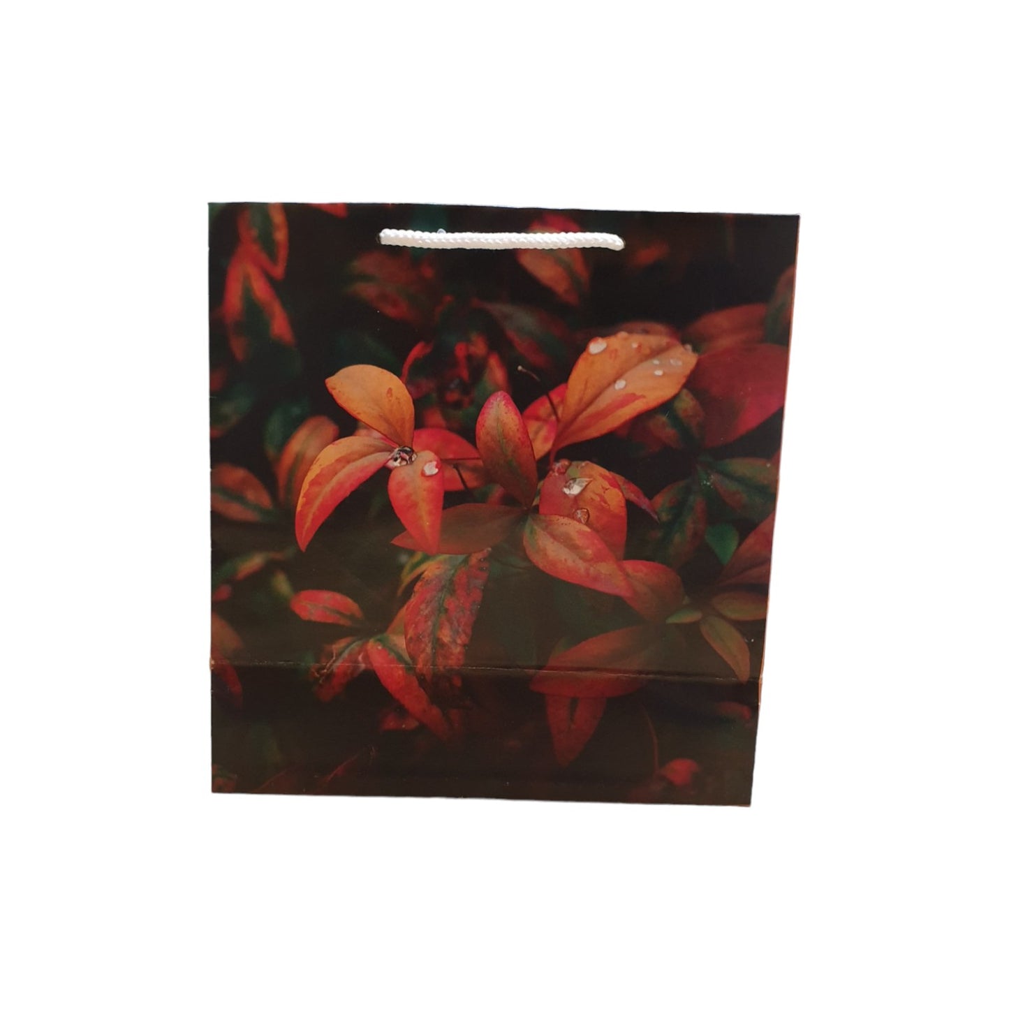 Thamboolam Paper Bag (Floral Print) (Pack of 10pcs)