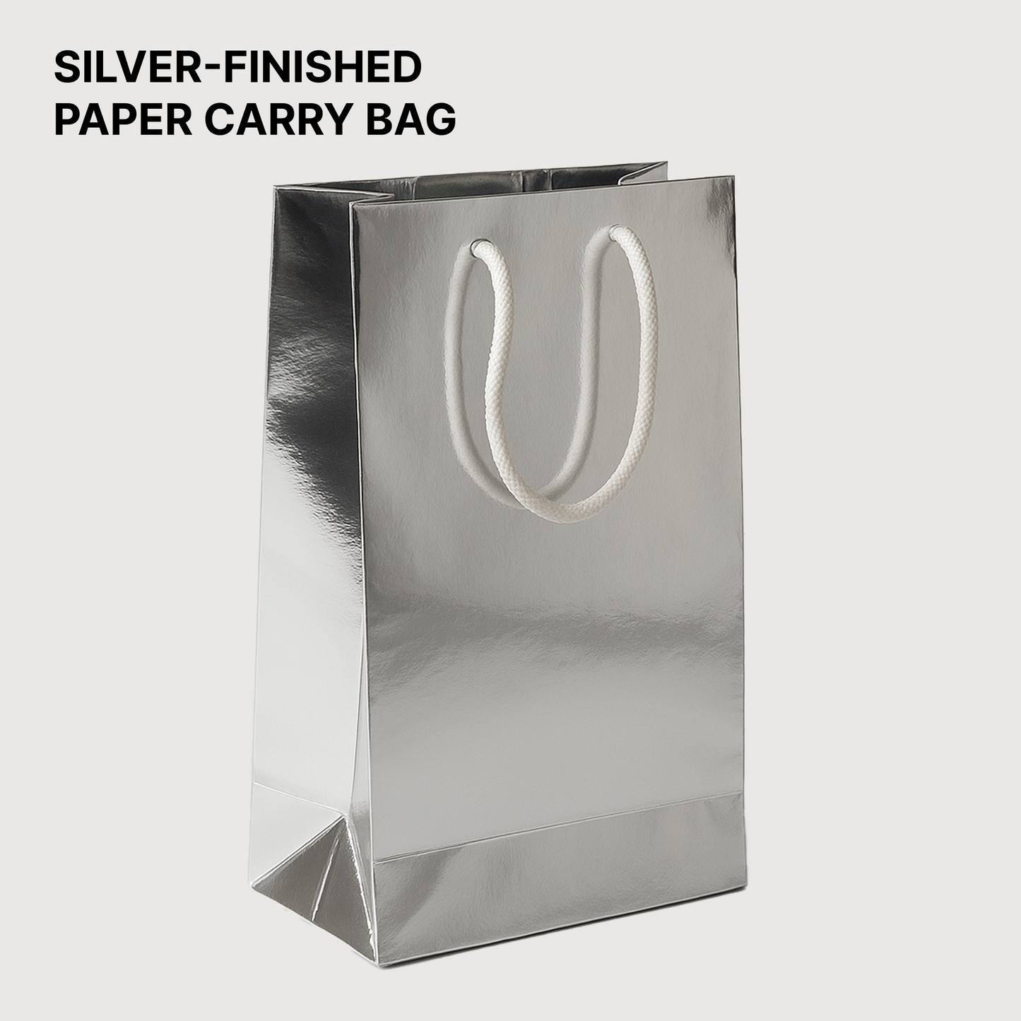 SIlver Paper Carry Bag 20.50cm x 29.50cm x 8.5cm