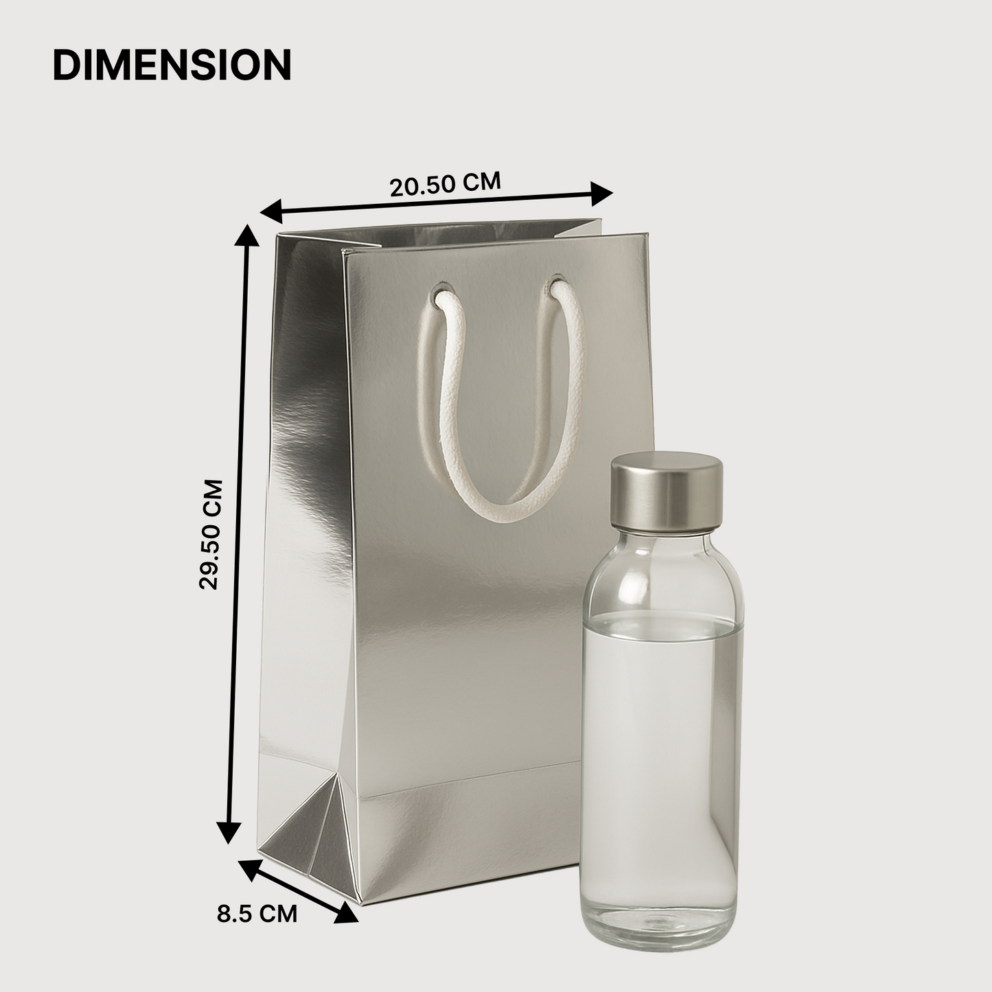 SIlver Paper Carry Bag 20.50cm x 29.50cm x 8.5cm