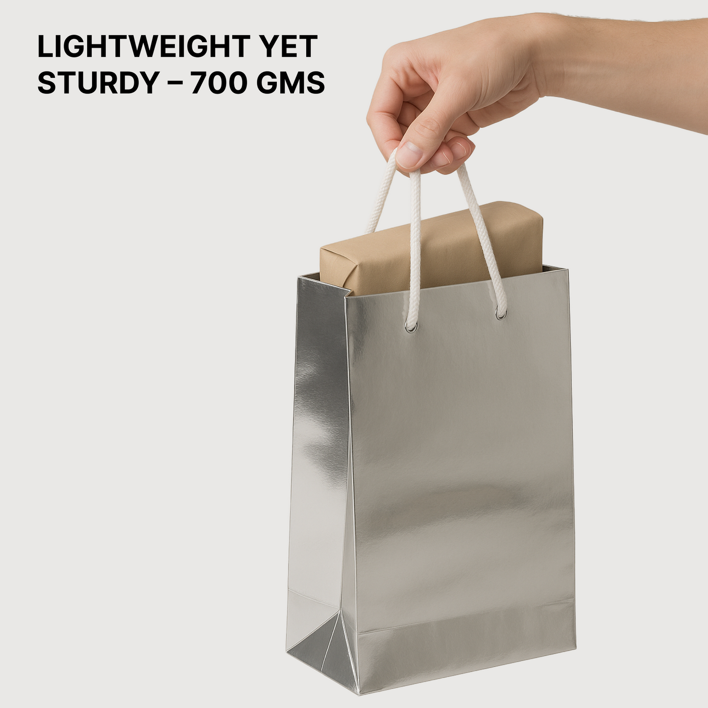 SIlver Paper Carry Bag 20.50cm x 29.50cm x 8.5cm