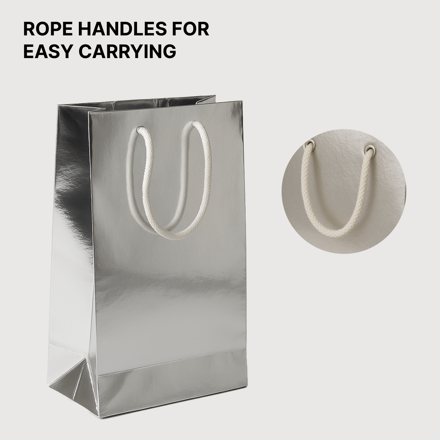 SIlver Paper Carry Bag 20.50cm x 29.50cm x 8.5cm